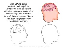 Mini-Buch-Gehirn.pdf